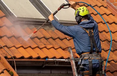 Démoussage et hydrofuge de toiture à Roissard